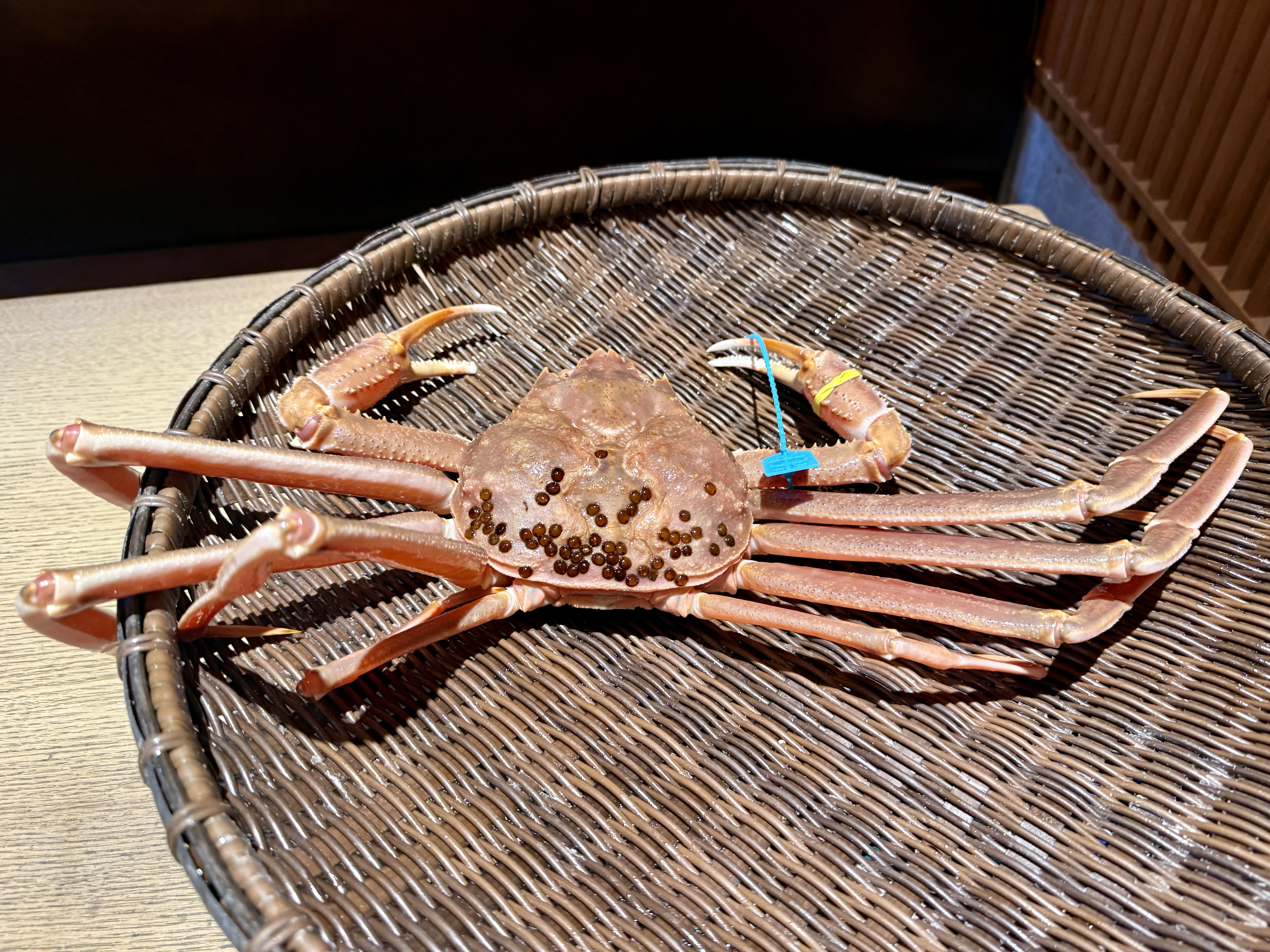 8A4DA011-8112-4330-AFFD-CFB8802CA4B0_1_201_a