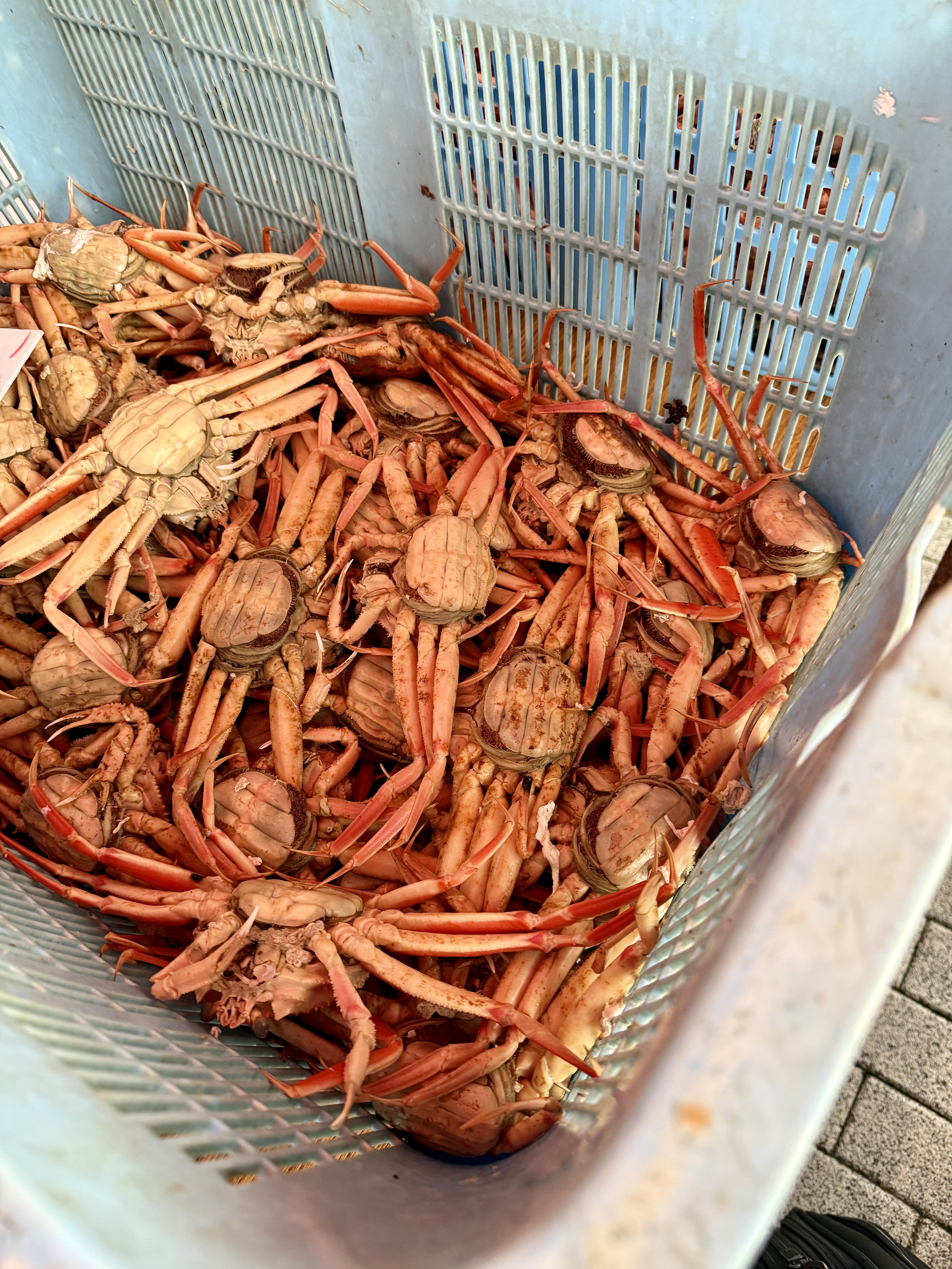 ADC429F1-C357-487F-8B6B-0191B7ED27B8_1_201_a